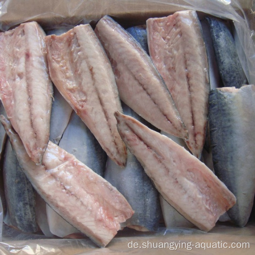 Chinesische Exportmakrelfilet gefrorene Fischmakrelefilets